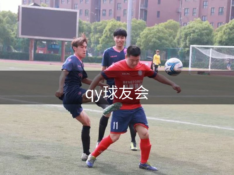 品牌力量